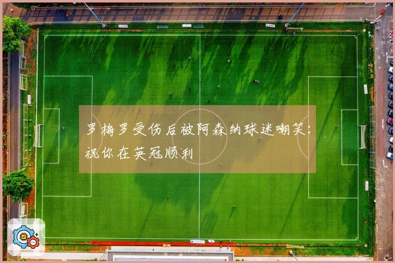 罗梅罗受伤后被阿森纳球迷嘲笑：祝你在英冠顺利