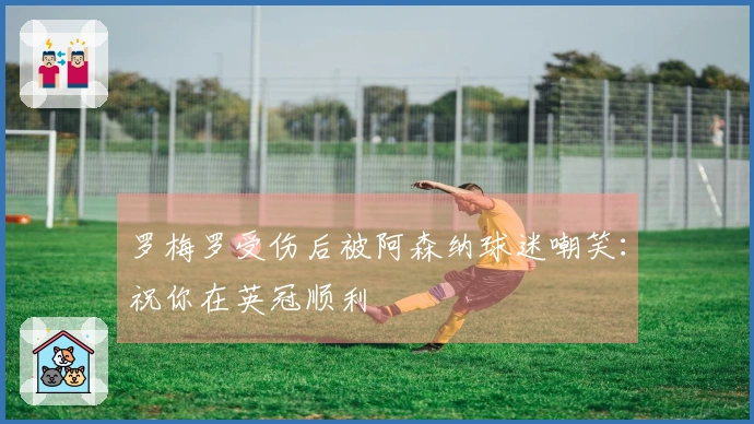 罗梅罗受伤后被阿森纳球迷嘲笑：祝你在英冠顺利